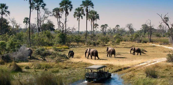 Botswana - Africa - Top Travel Destinations