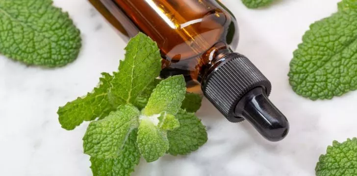 A bottle of peppermint essential oils