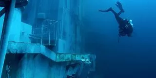 Amazing Diving at this Artificial Reef