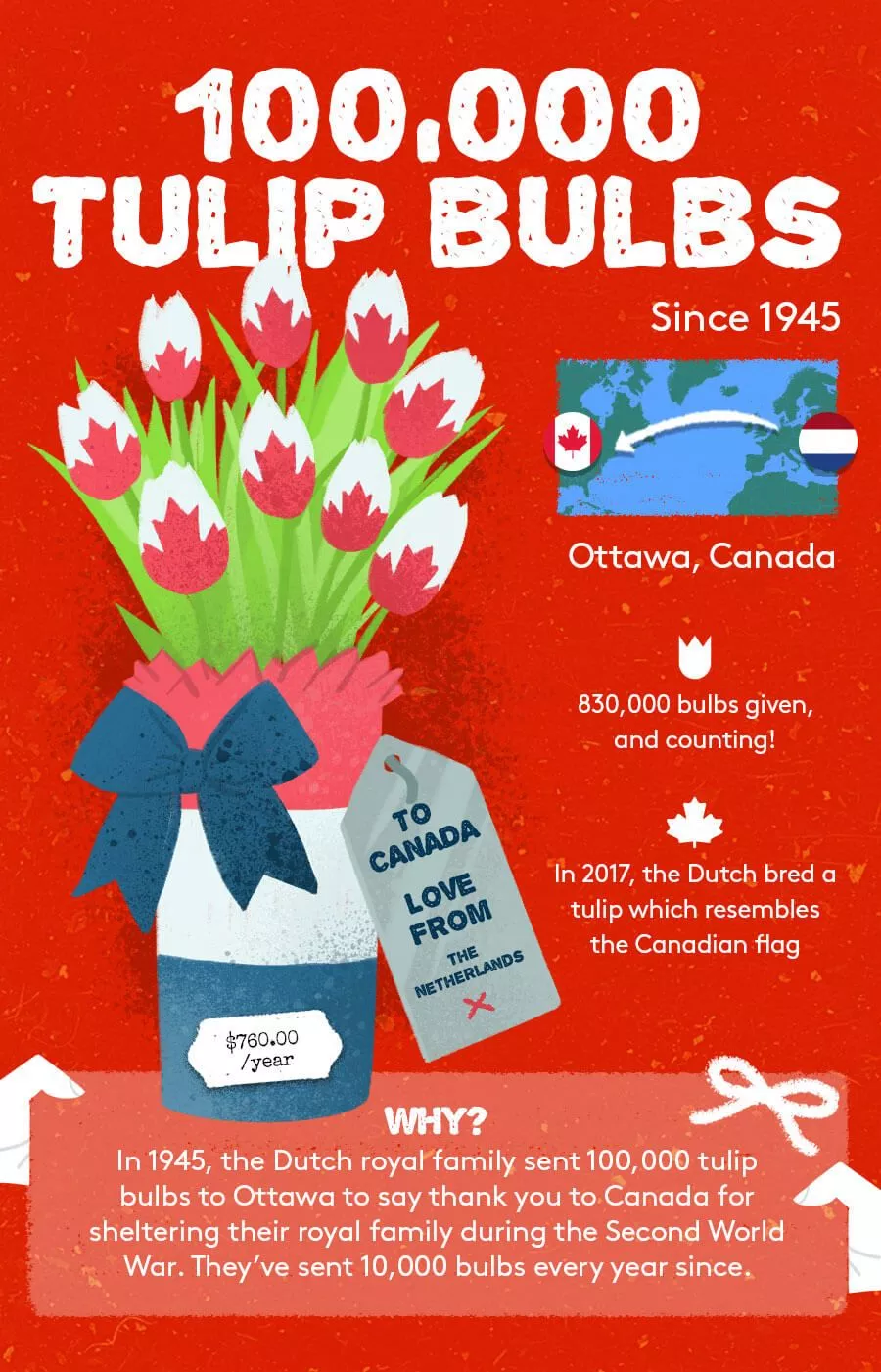 Tulip Bulb Gift Exchange
