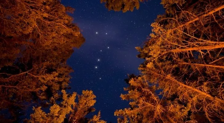 The Big Dipper seen in the sky through trees