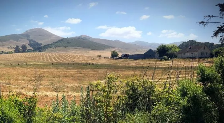 The fields of Salinas Valley, California