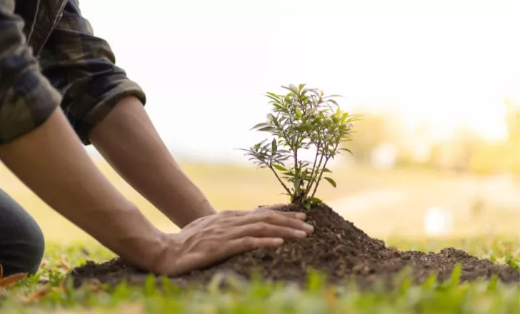 A person planting on the ground.